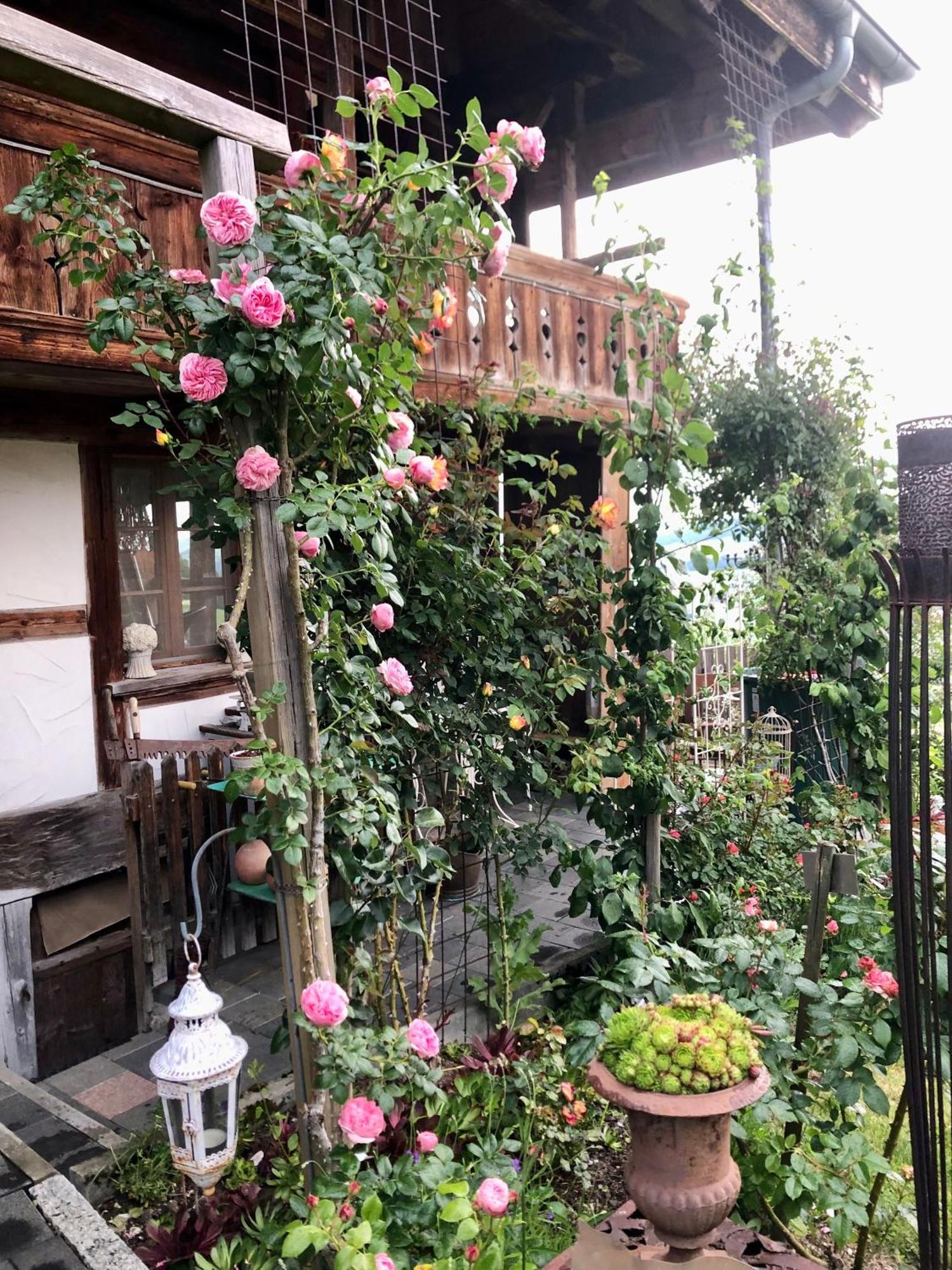 게르젠시 Rosenhuesli 아파트 외부 사진